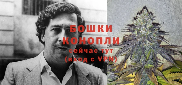 твердый Лагань