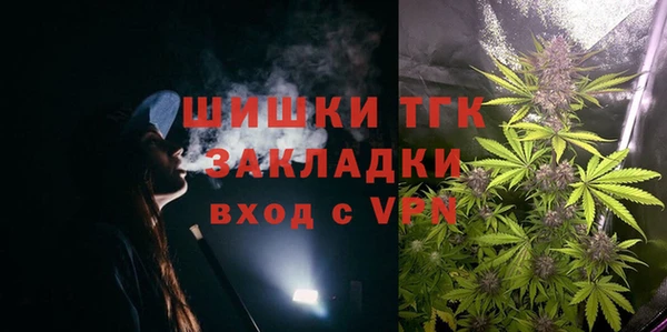 твердый Лагань