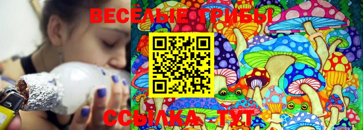 Галлюциногенные грибы MAGIC MUSHROOMS Фурманов