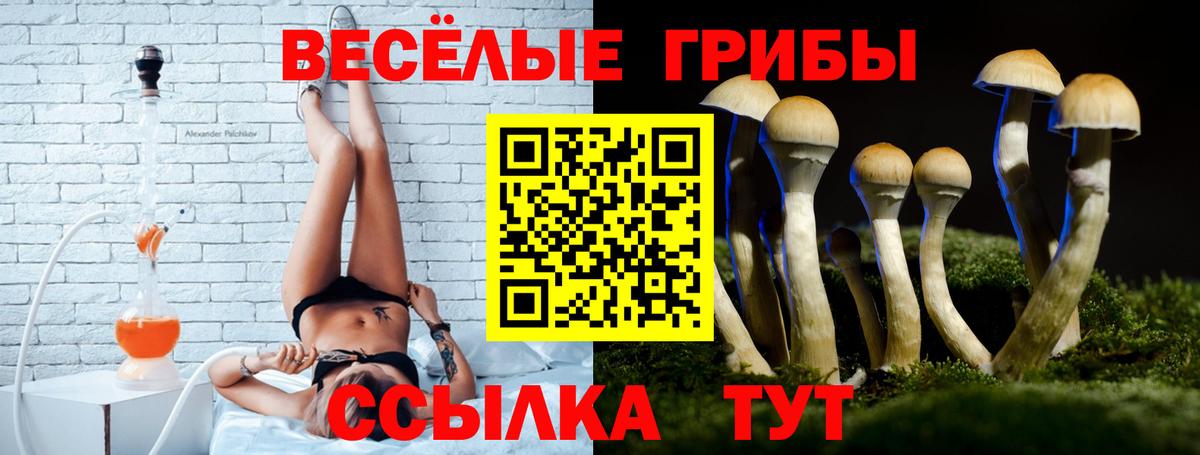 Псилоцибиновые грибы мицелий Фурманов